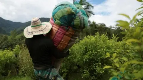 America Classifies the South American Nation as Non-Cooperative in Drug War