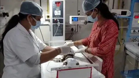 Newborn Placed Living in the Country Fights for Her Life