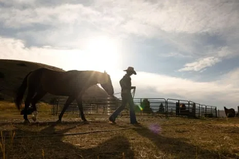 Discover the US Cowgirls Reshaping Modern Farm Life
