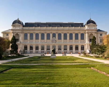 Priceless Golden Specimens Stolen in Daring Heist at French Natural History Institution