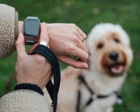 The Honest Scoop About Fitness Trackers? Daily Existence Improves Lacking a Hectoring Device on Your Wrist
